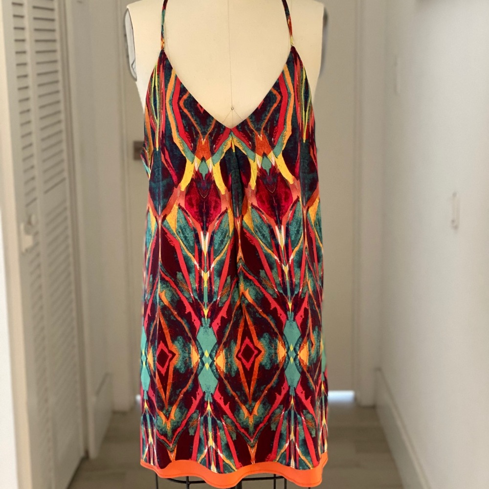 Alice and Olivia by Scoop dress